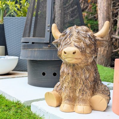 PXL_20250719_120325669.PORTRAIT~2